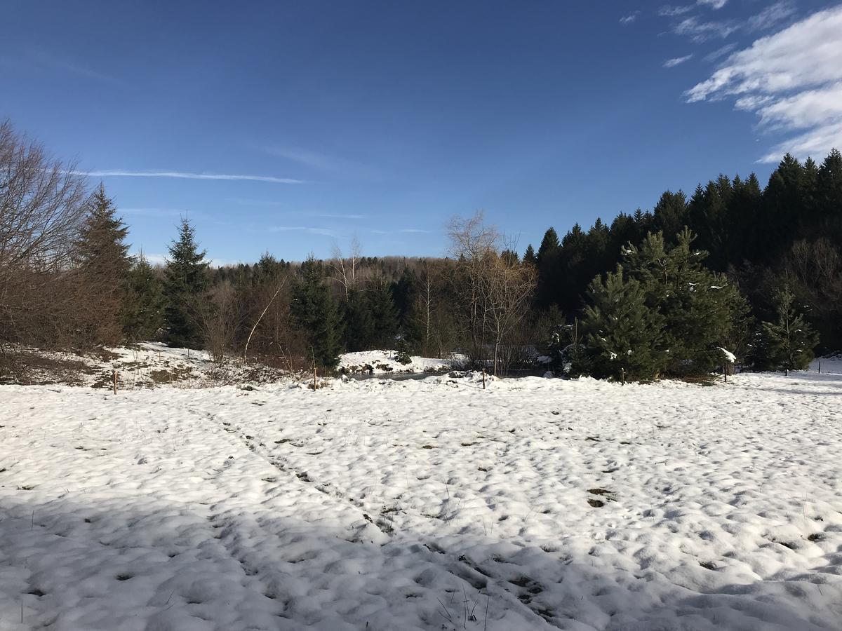 Vila Eden Porumbacu de Sus Exteriér fotografie