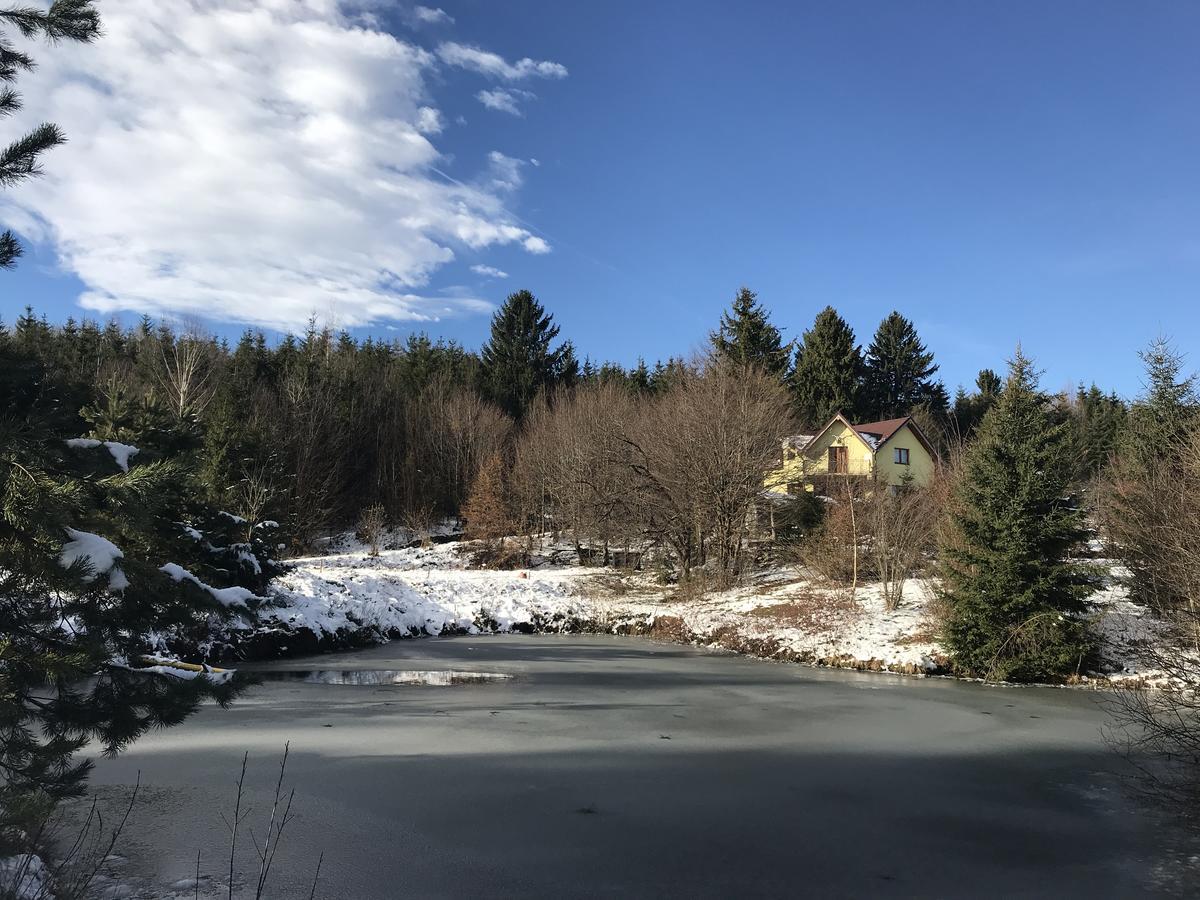 Vila Eden Porumbacu de Sus Exteriér fotografie