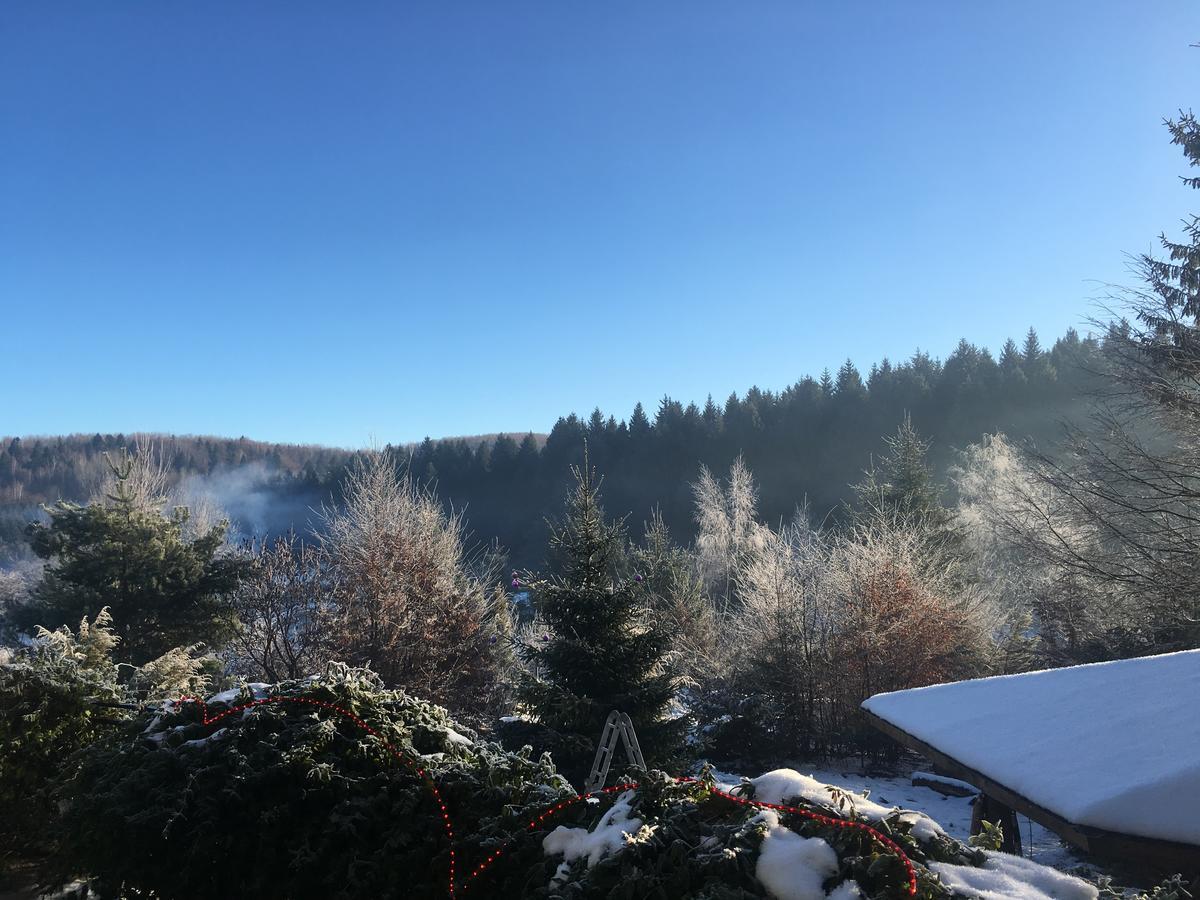 Vila Eden Porumbacu de Sus Exteriér fotografie